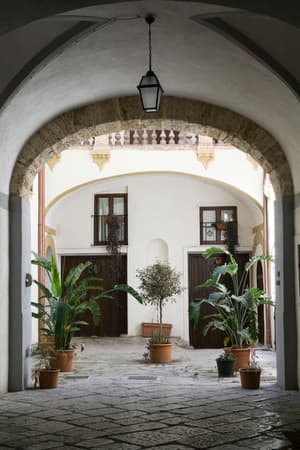 Courtyard with plants
