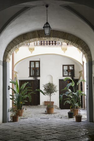 Courtyard with plants
